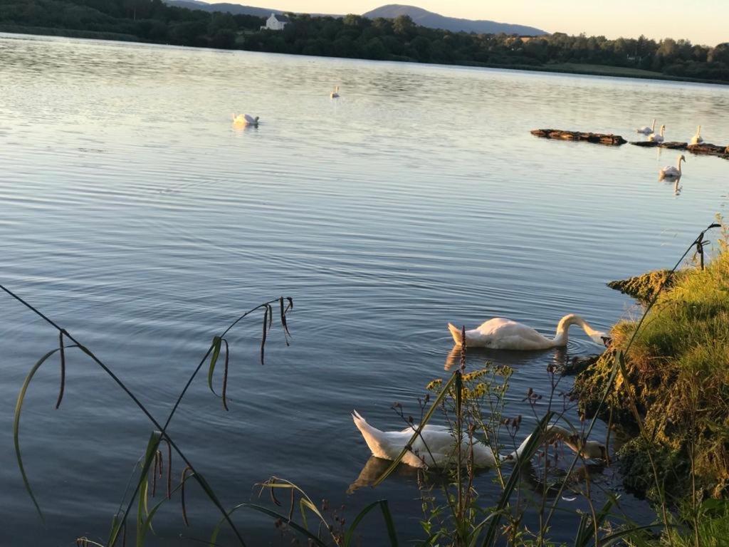 Lakeside Lookout Bantry Cork Esterno foto